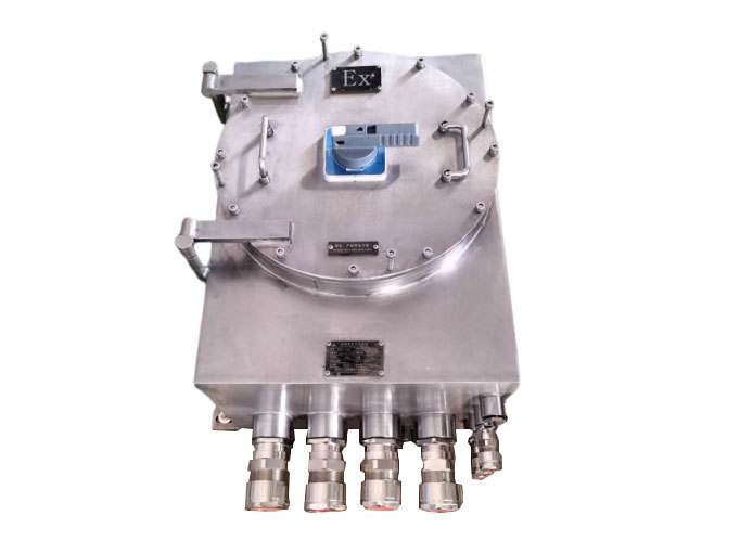 隔爆型电气控制箱IIC（不锈钢316L）